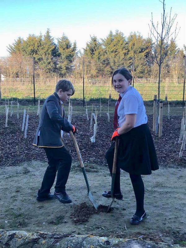 LAR students are shown helping to plant trees during Eco Club.