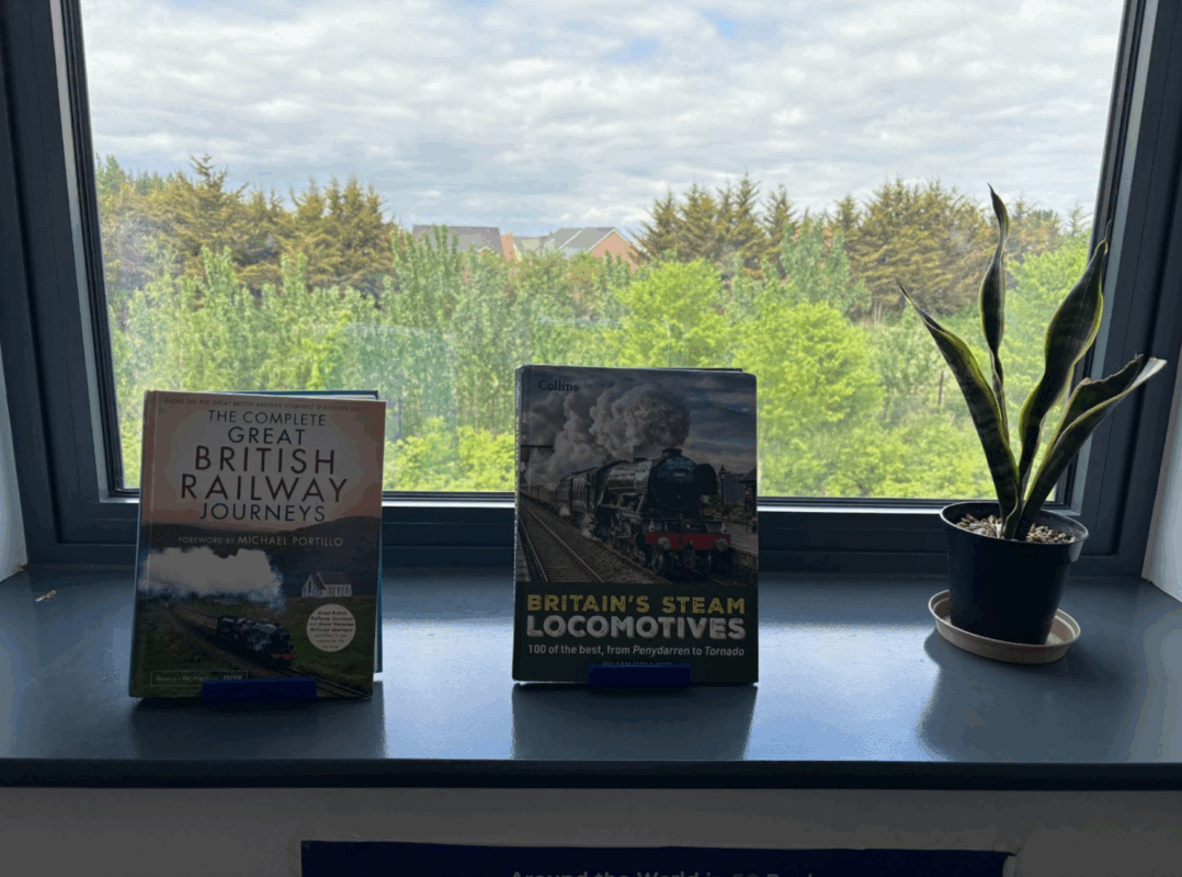 Two books on a window display
